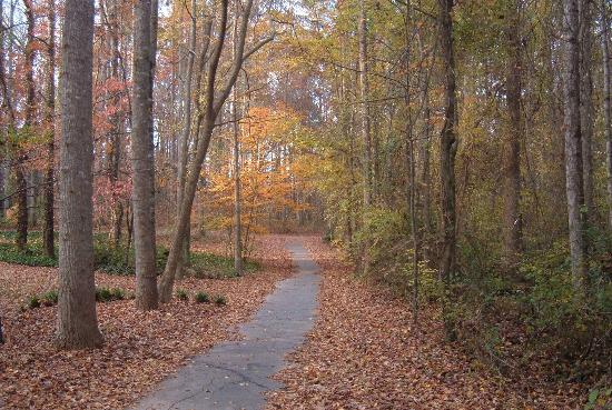 Family riding golf cart on Peachtree City path